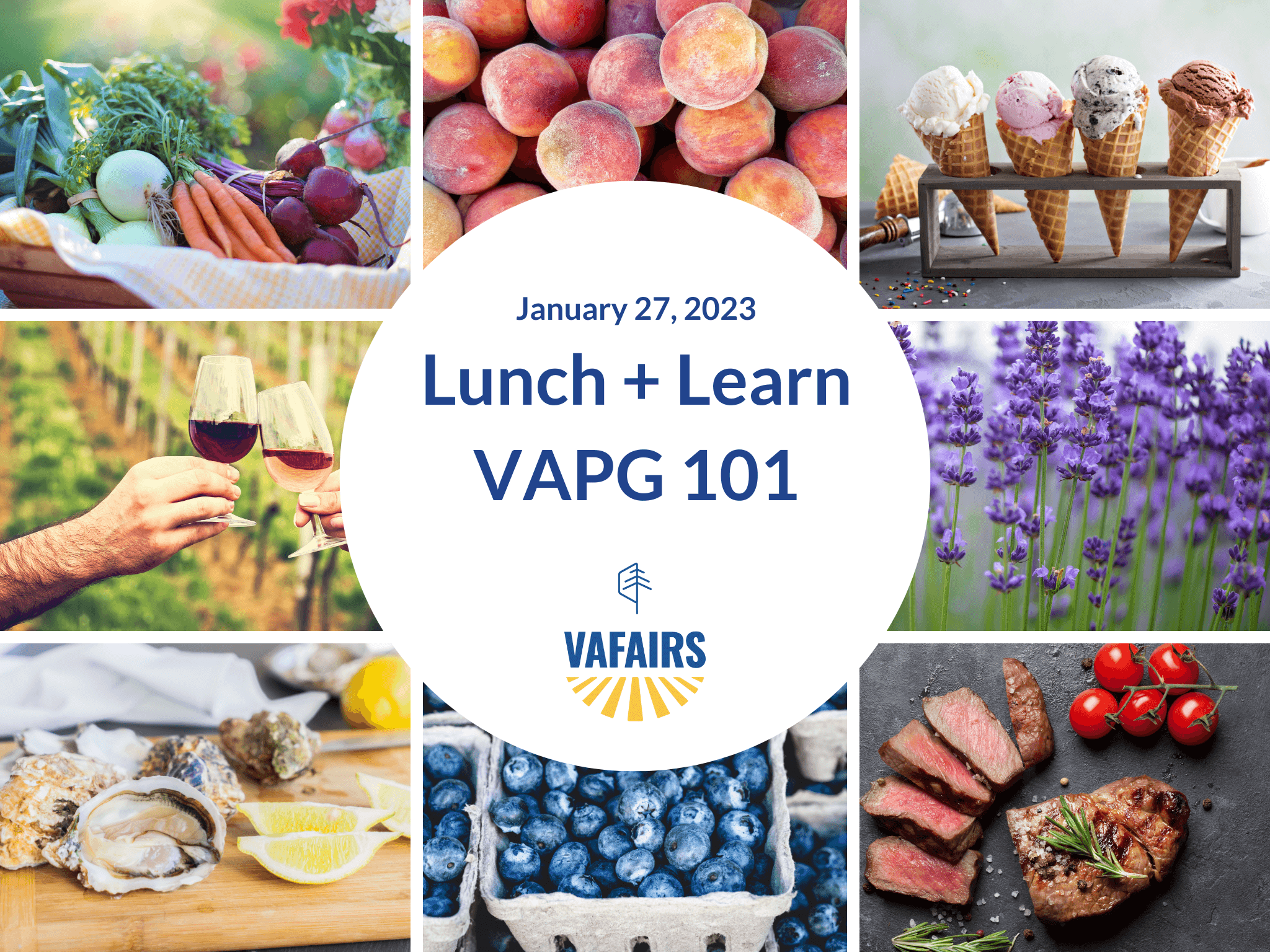 Lunch + Learn: VAPG 101